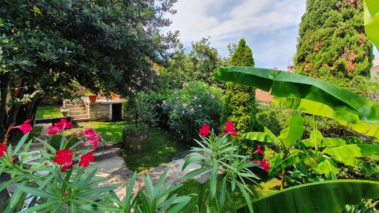 Apartment Secret Garden Of