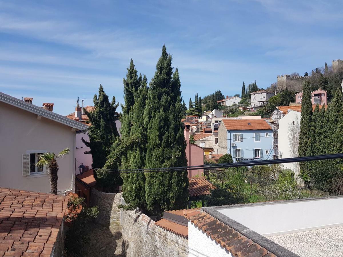 Secret Garden Of Piran